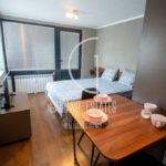 Уютно студио до УНСС - 0