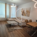 Луксозен двустаен апартамент в кв. Бъкстон - 0