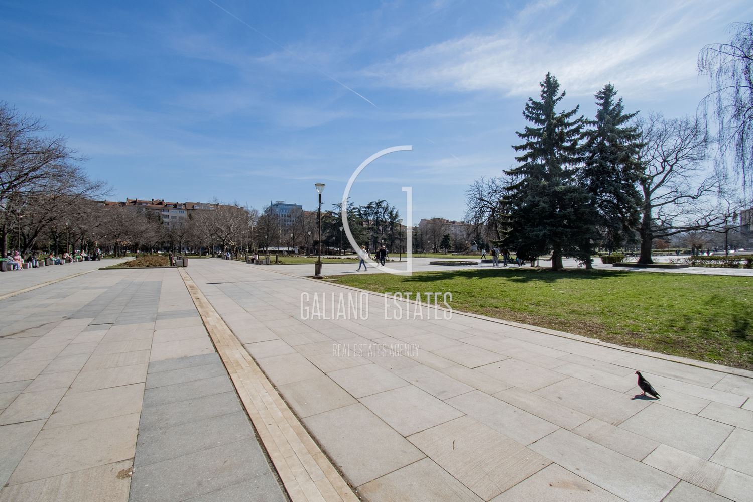 Функционален апартамент срещу парка на НДК - 0