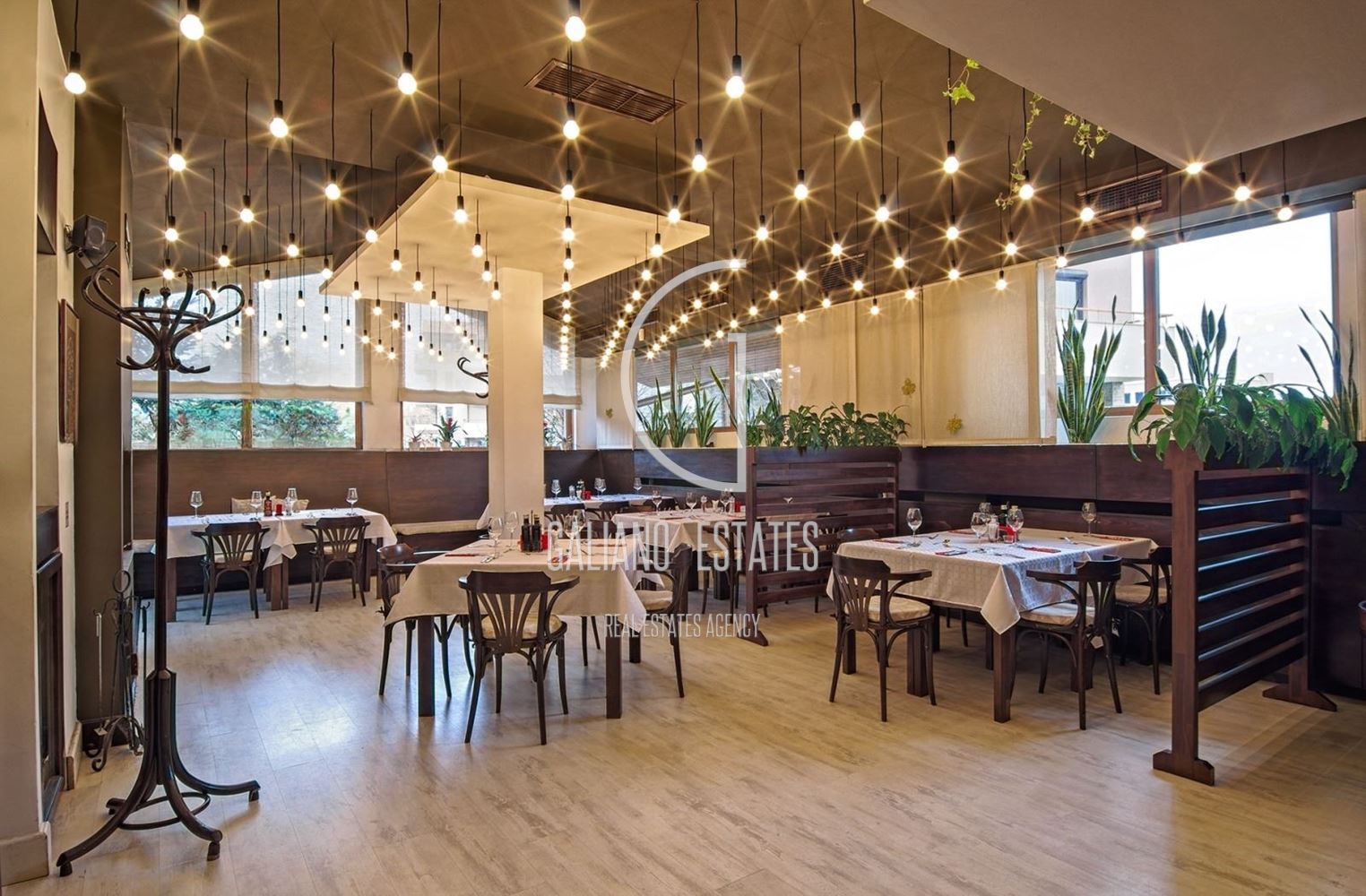 Заведение в кв. Драгалевци - 0